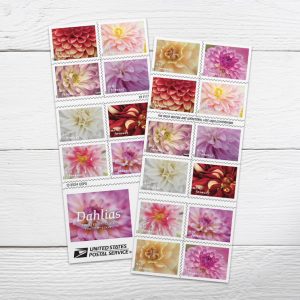 2025 Dahlias Forever Stamps