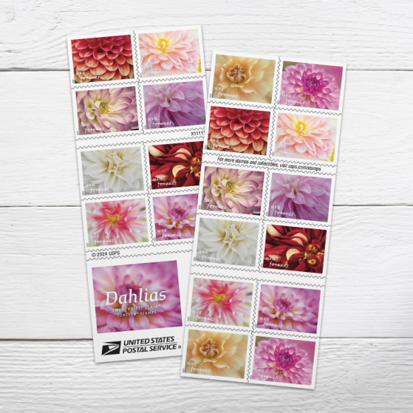 dfeedgjioolyy 2025 Dahlias Forever Stamps